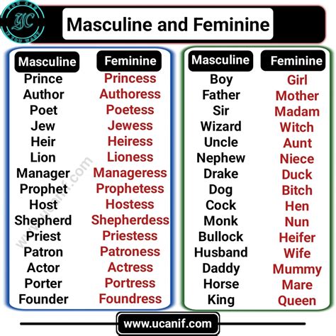 masculino meaning in english.